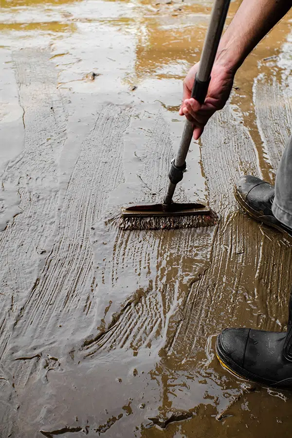 Cleaning flood mud from a home after Brisbane floods